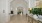 a hallway with a plant on the counter